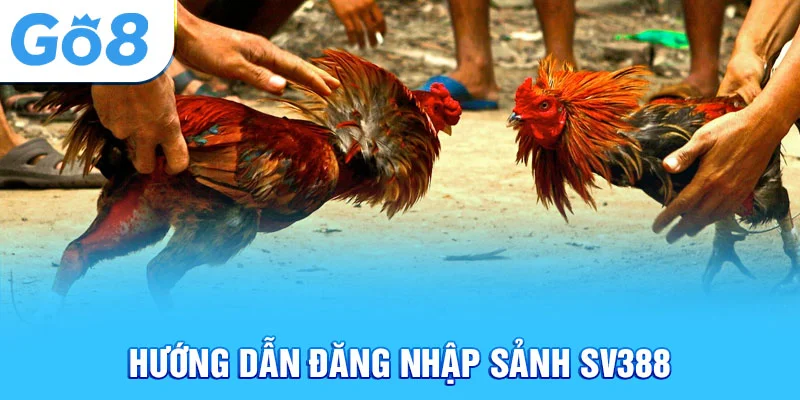 Hướng dẫn đăng nhập sảnh sv388