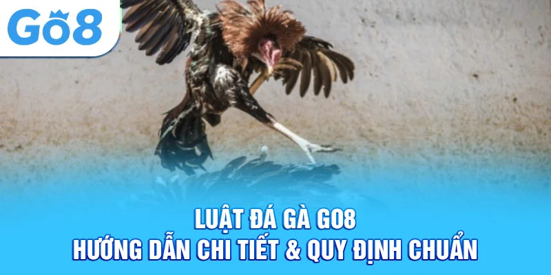 Luật đá gà Go8 - các loại cược phổ biến