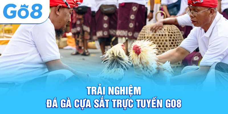 Trải nghiệm đá gà cựa sắt trực tuyến Go8